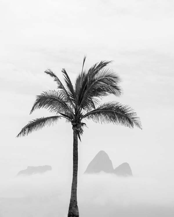 Centro de Operações Rio - Capa da Previsão do clima