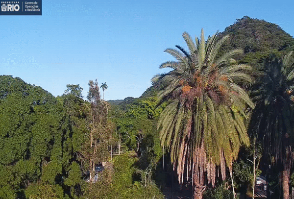 Rio registra menor temperatura do ano pelo segundo dia seguido: 11,5°C no Alto da Boa Vista
